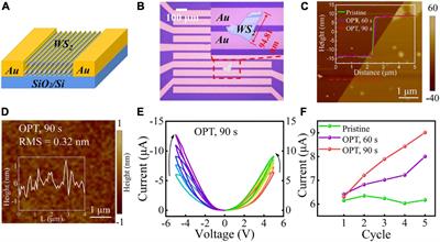 Real-time numerical system convertor via two-dimensional WS2-based memristive device